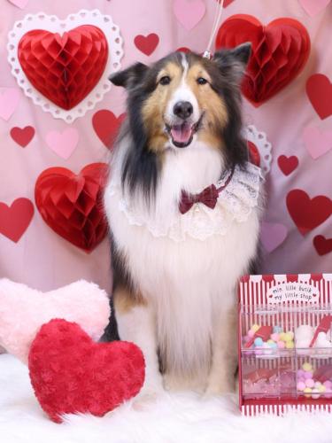 20240207ヒューゴくん